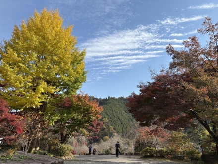 龍珠院